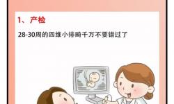 wheeltpe孕婦輪能否真正減輕孕期媽媽的走路負(fù)擔(dān)與壓力