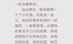 玉女桃花輕蜜桃03,如何在春日里讓心情綻放如花般美麗與甜蜜