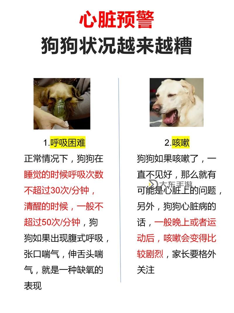 狗狗射速好燙太怕了春雨醫(yī)生,這種情況是正常的嗎還是需要及時(shí)就醫(yī)圖1