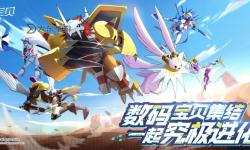 數(shù)碼寶貝新世紀(jì)親密度提升的關(guān)鍵因素是什么你知道嗎