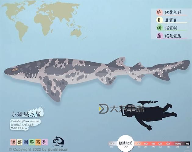 探索我的世界海洋館:鯊魚的奇妙世界與生態(tài)揭秘圖1