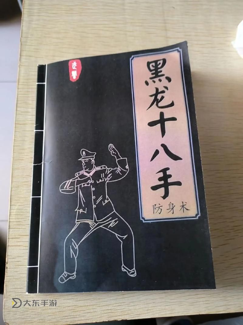 天下霸圖武功秘籍揭秘與技能升級指南圖2
