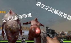 求生之路2推薦模組