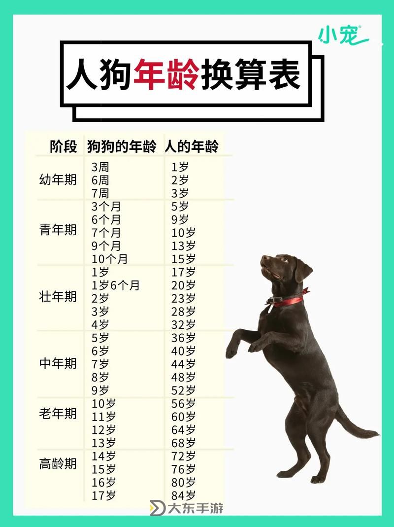 狗配人,馬配人之間的關(guān)系究竟是怎樣的呢分析圖1