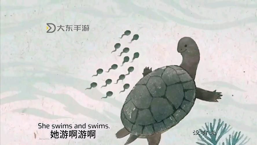 蝌蚪在線播放視頻，為什么它能吸引如此多觀眾的關(guān)注和喜愛呢圖1