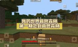 我的世界暮色森林地牢怎么進(jìn)