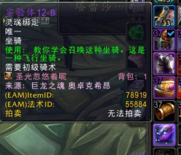 巨龍之魂出副本-巨龍之魂副本路線圖2