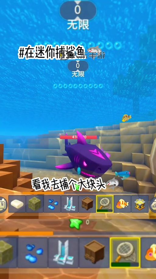 迷你世界馴服鯊魚-迷你世界的鯊魚吃什么圖3