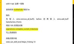 模擬人生4升職秘籍怎么用