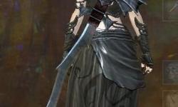 激戰(zhàn)2人類戰(zhàn)士帶什么武器好