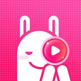 金星直播app安卓版