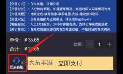 火炬之光無限亞服怎么充值
