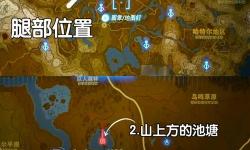 曉之女神財寶位置詳解及地圖指引攻略