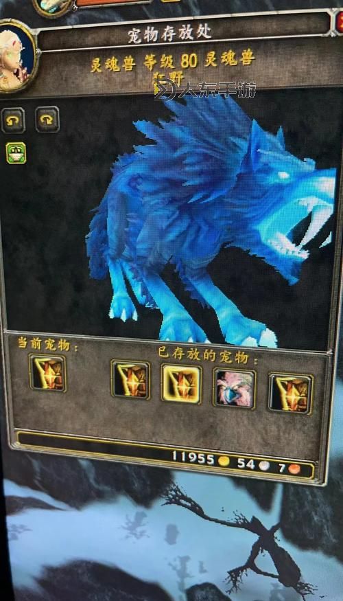 魔獸世界wlk靈魂獸技能圖3