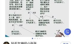 匿名信游戲圖解5,匿名信游戲圖解拼圖