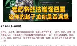 守衛(wèi)劍閣趙云全裝備攻略：開啟你的戰(zhàn)斗之路