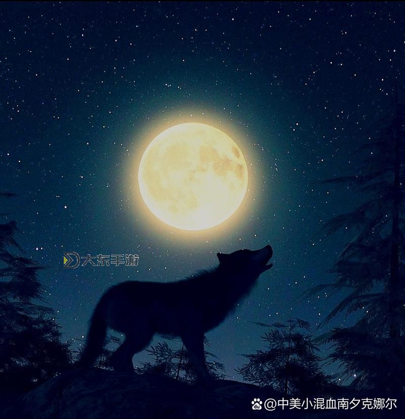 精美狼望月圖片頭像推薦：展現(xiàn)暗夜中的孤獨(dú)與神秘圖1