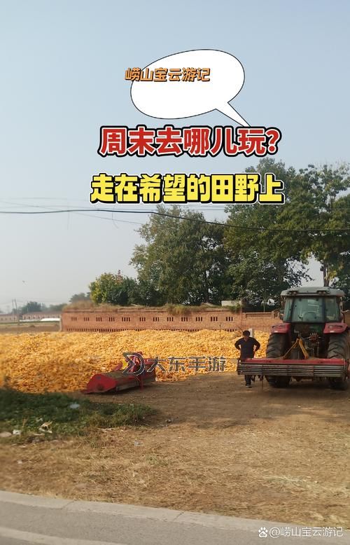 玉米地刮倫：鄉(xiāng)村里的傳統(tǒng)習(xí)俗與現(xiàn)代變遷圖1