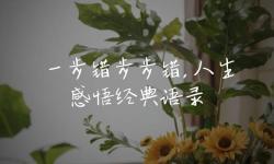走一步撞一下：人生中的連在一起與偶然撞擊