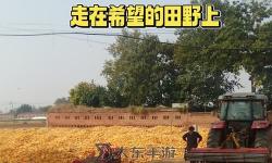 玉米地刮倫：鄉(xiāng)村里的傳統(tǒng)習俗與現代變遷