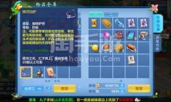 《全面解析神武69卡級(jí)限制表：等級(jí)限制與升級(jí)指南》