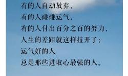 《日日要夜夜要：探索堅持與夢想的永恒追求》