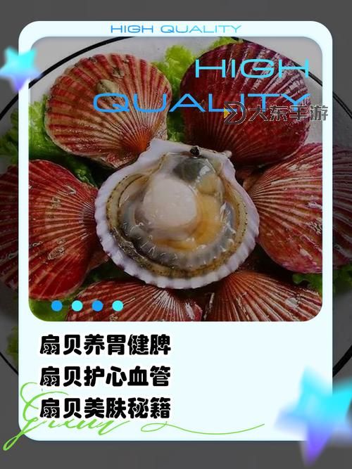 張開腿看看你的扇貝：海鮮美味的秘密武器圖1