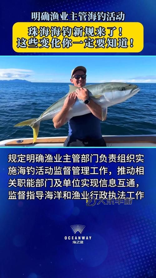 探索珠海釣魚網(wǎng):打造理想釣魚體驗(yàn)的最佳選擇圖1