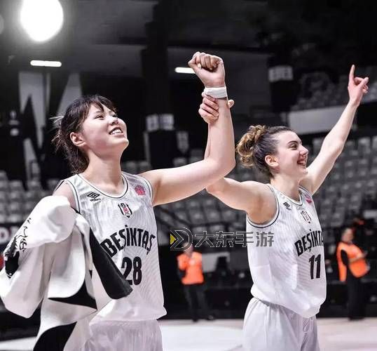 WNBA是什么組織：女子職業(yè)籃球聯(lián)盟的簡(jiǎn)介圖1