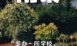 探索雨果在百度影音的精彩內(nèi)容與最新資源