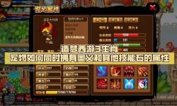 造夢(mèng)西游3高級(jí)還童完再 全面攻略與玩法揭秘