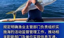 探索珠海釣魚網(wǎng)：打造理想釣魚體驗的最佳選擇