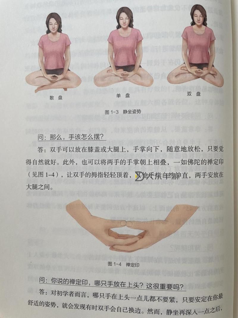 新手打坐圖解:入門必備的基礎(chǔ)指南圖2
