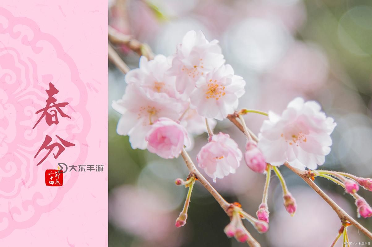 免費(fèi)在線觀看青草永久在線觀看，盡享春日清新畫面圖1