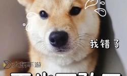 主人，我錯了：還能不能關(guān)掉開關(guān)？