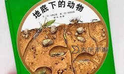 挺進(jìn)地牢商店的蟲子：探秘地下世界的神奇生物