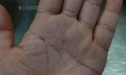 掌が語ること：掌紋中的秘密與人生之謎