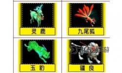 問道端游坐騎圖鑒大全：全面收錄與稀有坐騎攻略