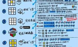 怎么自W到高C詳細(xì)教程：全面指南助你輕松實現(xiàn)突破