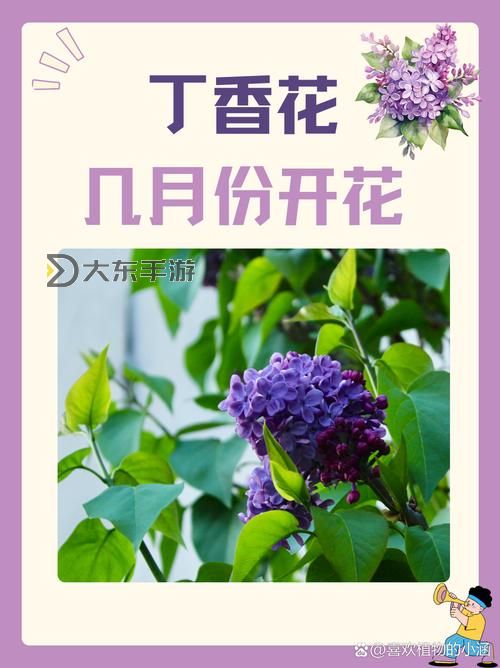探索自然之美:Blogs關(guān)于è?狠狠干五月丁香的精彩故事圖1