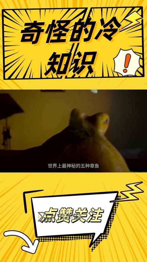 最右的章魚飛船能預(yù)測不：未來科技的神秘謎題圖1