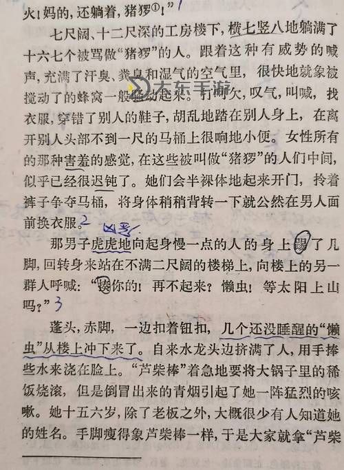 在班里插了語文課代表文章:探索責(zé)任與表達(dá)的力量圖1