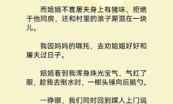 重生風(fēng)流棒梗免費(fèi)：極速體驗(yàn)精彩小說引人入勝