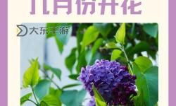 探索自然之美：Blogs關(guān)于è?狠狠干五月丁香的精彩故事
