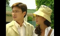五月伊人婷婷：春光里的芳華輕舞