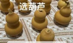 造夢西游三宣化葫蘆怎么造詳細(xì)教程