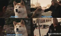 感人至深：忠犬八公國語版帶你重溫動人情感