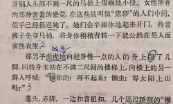 在班里插了語文課代表文章：探索責(zé)任與表達(dá)的力量