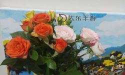 探索另類性都：穿越花花世界的多彩人生