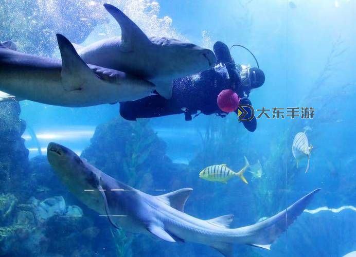 探索海量精彩世界：1000部精品免費視頻推薦圖1